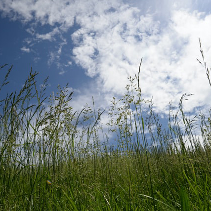 laura-ockel-_X3t1KaYPjY-unsplash