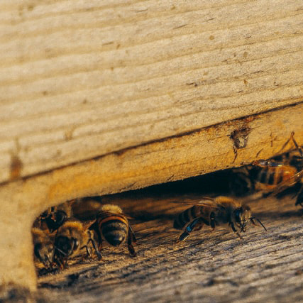 timothy-l-brock-9s-_dwkljI8-unsplash