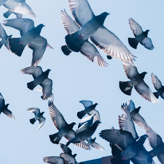 zac-ong-hPOFScEaZcA-unsplash